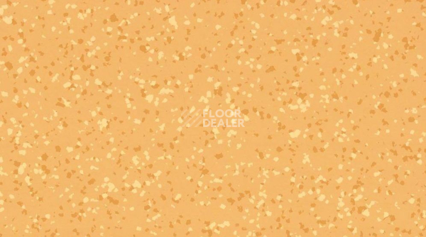 Линолеум Taralay Premium Compact Barazilia 8269 IPANEMA фото 1 | FLOORDEALER